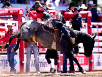 Wes Shaw Shotbug Press-Calgary Stampede 2026 Finals-20260712-147931