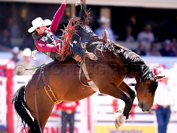 Wes Shaw Shotbug Press-Calgary Stampede 2026 Finals-20260712-147885