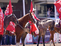 Wes Shaw Shotbug Press-Calgary Stampede 2026 Finals-20260712-147876