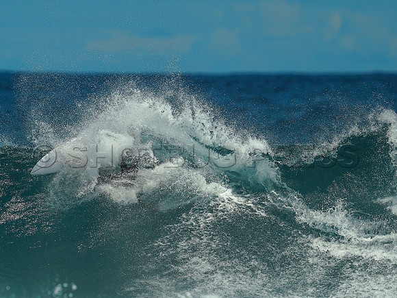 Wes Shaw Surfing 20240910 -217474