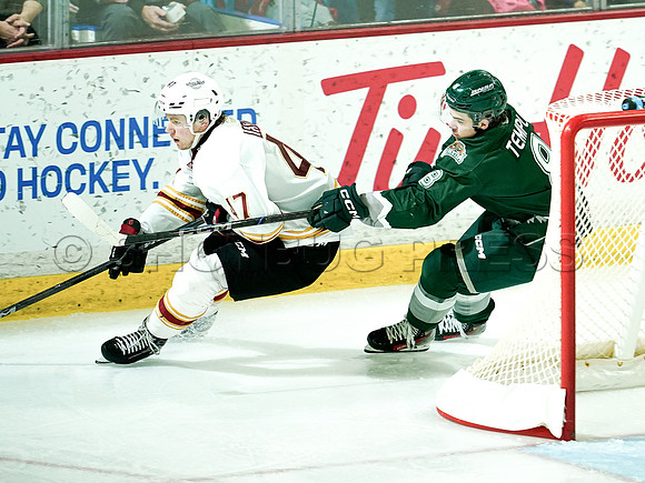 Wes Shaw Everett Silvertips skate circles around the Vancouver Giants 20241129 -254873