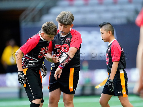 Calgary Stampeders at BC Lions at BC Place, in Vancouver, BC, Canada, June 1, 2023.