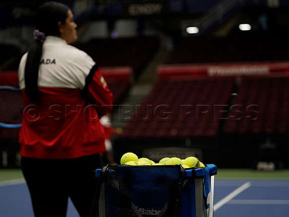 Wesley Shaw Billie Jean King Cup Practice Session  20230414 -4270