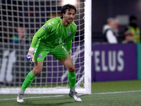 Wes Shaw Shotbug Press-Halifax Wanderers at Vancouver FC-20261016-217223