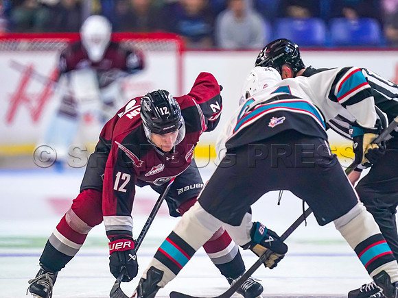 Wes Shaw Shotbug Press-Kelowna Rockets at the Vancouver Giants-20260919-212084