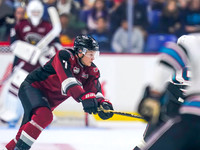 Wes Shaw Shotbug Press-Kelowna Rockets at the Vancouver Giants-20260919-212142