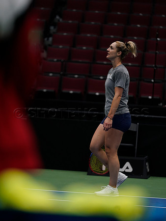 Wesley Shaw Billie Jean King Cup Practice Session  20230414 -4272
