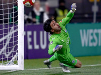Wes Shaw Shotbug Press-Halifax Wanderers at Vancouver FC-20261016-217250