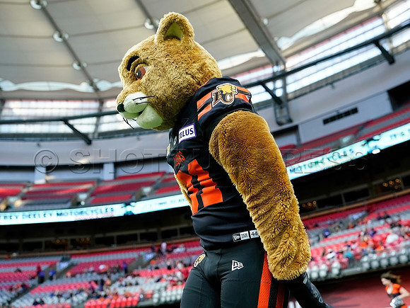 Calgary Stampeders at BC Lions at BC Place, in Vancouver, BC, Canada, June 1, 2023.