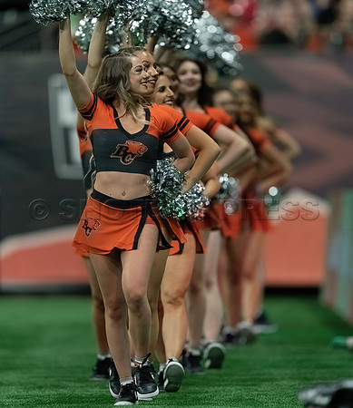 Calgary Stampeders at BC Lions at BC Place, in Vancouver, BC, Canada, June 1, 2023.