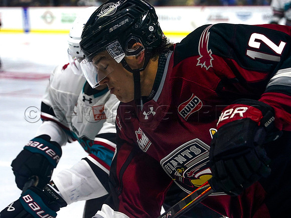 Wes Shaw Shotbug Press-Kelowna Rockets at the Vancouver Giants-20260919-211371
