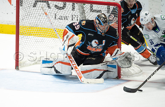 Abbotsford Canucks defeat San Diego Gulls 4-2 on Sunday, Jan 23, 2022 at Abbotsford Centre.
