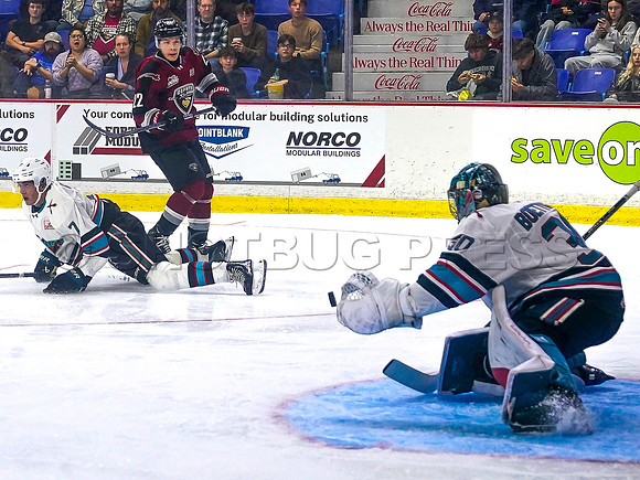 Wes Shaw Shotbug Press-Kelowna Rockets at the Vancouver Giants-20260919-211497