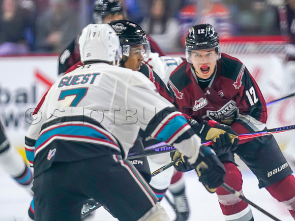 Wes Shaw Shotbug Press-Kelowna Rockets at the Vancouver Giants-20260919-212086