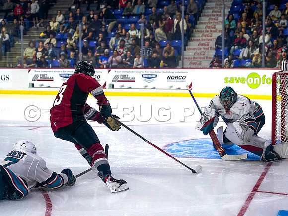 Wes Shaw Shotbug Press-Kelowna Rockets at the Vancouver Giants-20260919-211298