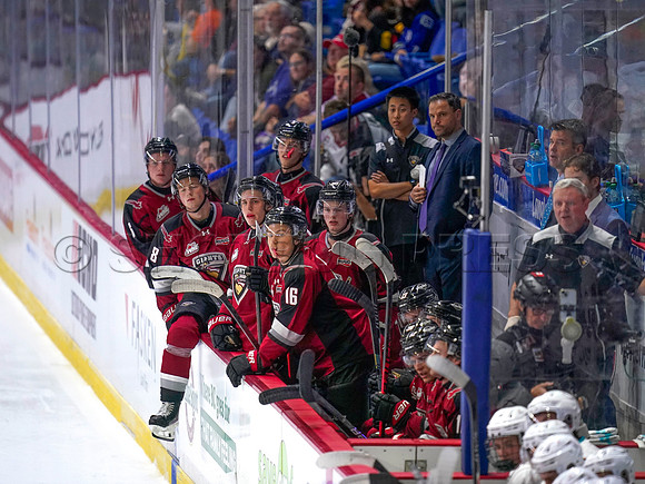 Wes Shaw Shotbug Press-Kelowna Rockets at the Vancouver Giants-20260919-211069