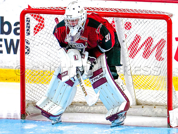 Wes Shaw Shotbug Press-Seattle Thunderbirds at the Vancouver Giants-20261010-215625