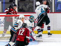 Wes Shaw Shotbug Press-Kelowna Rockets at the Vancouver Giants-20260919-212408