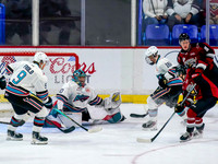 Wes Shaw Shotbug Press-Kelowna Rockets at the Vancouver Giants-20260919-212369