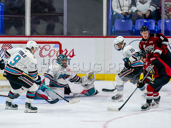 Wes Shaw Shotbug Press-Kelowna Rockets at the Vancouver Giants-20260919-212369