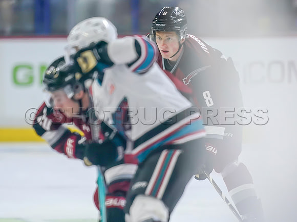 Wes Shaw Shotbug Press-Kelowna Rockets at the Vancouver Giants-20260919-211925