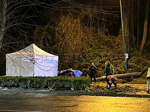 April 12, 2022 One dead after tree crashes on vehicle at Marine Way and River District Crossing in Vancouver