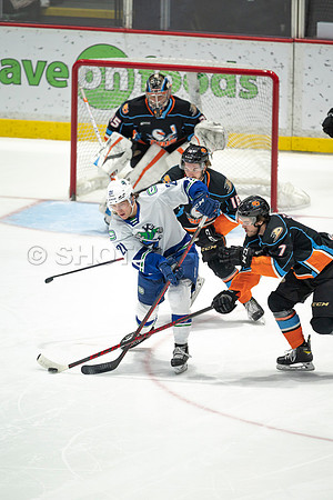 Abbotsford Canucks defeat San Diego Gulls 4-2 on Sunday, Jan 23, 2022 at Abbotsford Centre.