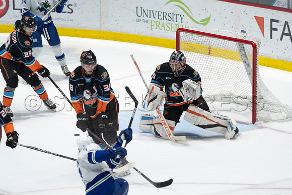 Abbotsford Canucks defeat San Diego Gulls 4-2 on Sunday, Jan 23, 2022 at Abbotsford Centre.