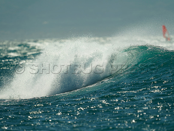 Wes Shaw Maui Surfing 20240707 -180819