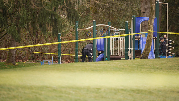 Body discovered in Greentree Village Park in Burnaby
