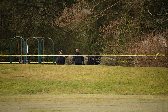 Body discovered in Greentree Village Park in Burnaby