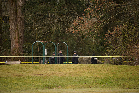 Body discovered in Greentree Village Park in Burnaby