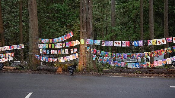 Drive-thru Candlelight vigil at the Lynn Canyon Park, North Vancouver, in community support of mass stabbings March 26, 2021.