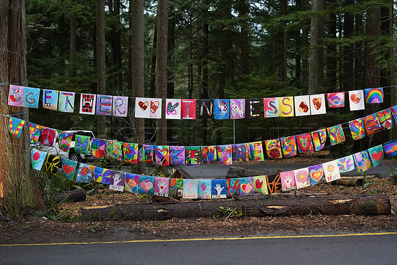 Drive-thru Candlelight vigil at the Lynn Canyon Park, North Vancouver, in community support of mass stabbings March 26, 2021.