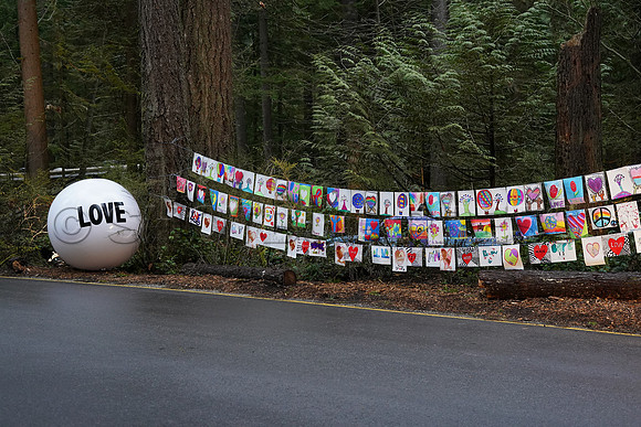 Drive-thru Candlelight vigil at the Lynn Canyon Park, North Vancouver, in community support of mass stabbings March 26, 2021.