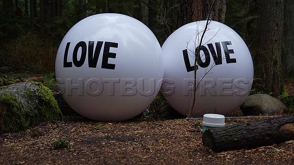 Drive-thru Candlelight vigil at the Lynn Canyon Park, North Vancouver, in community support of mass stabbings March 26, 2021.