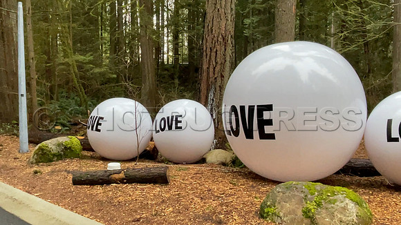Drive-thru Candlelight vigil at the Lynn Canyon Park, North Vancouver, in community support of mass stabbings March 26, 2021.