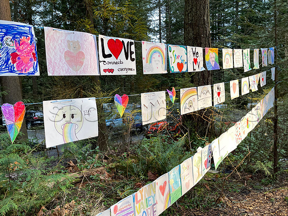 Drive-thru Candlelight vigil at the Lynn Canyon Park, North Vancouver, in community support of mass stabbings March 26, 2021.