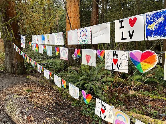 Drive-thru Candlelight vigil at the Lynn Canyon Park, North Vancouver, in community support of mass stabbings March 26, 2021.