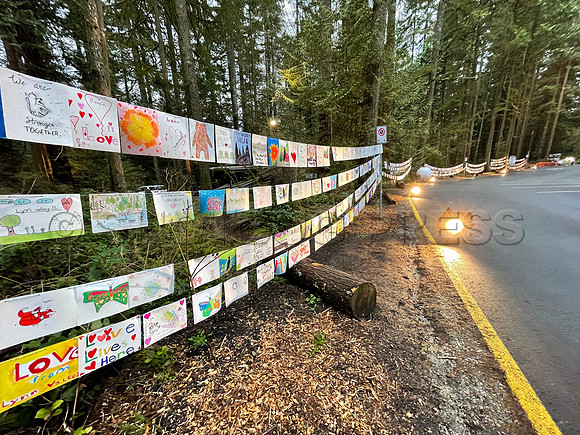 Drive-thru Candlelight vigil at the Lynn Canyon Park, North Vancouver, in community support of mass stabbings March 26, 2021.