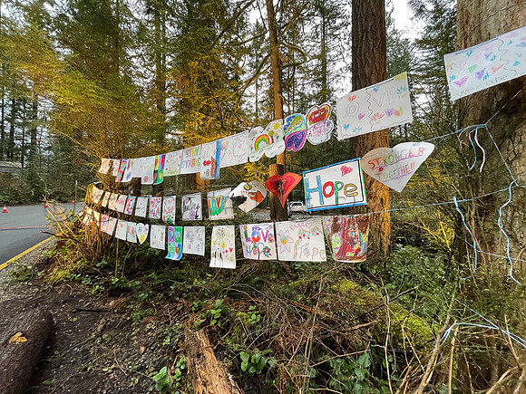 Drive-thru Candlelight vigil at the Lynn Canyon Park, North Vancouver, in community support of mass stabbings March 26, 2021.