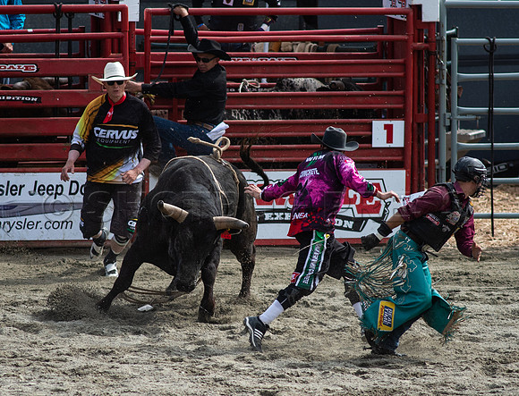 Cloverdale Rodeo-0048