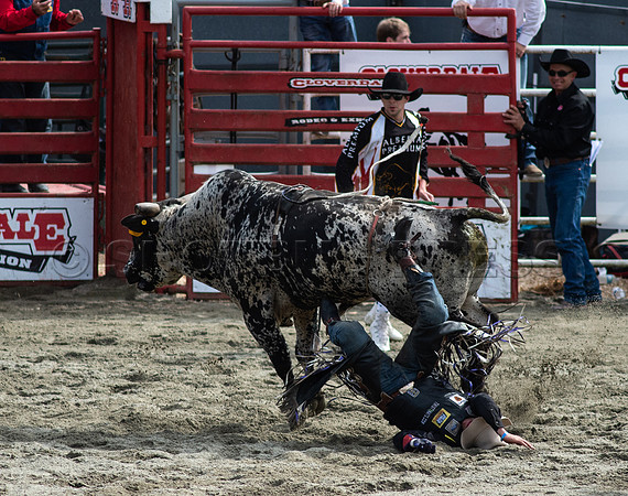 Cloverdale Rodeo-0182