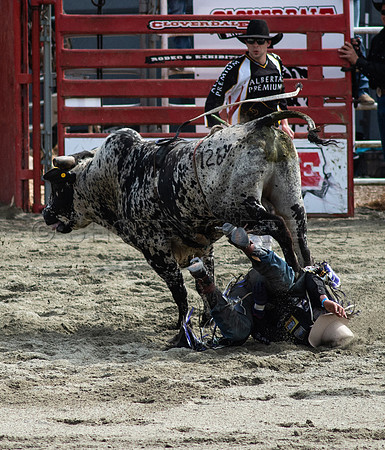 Cloverdale Rodeo-0183