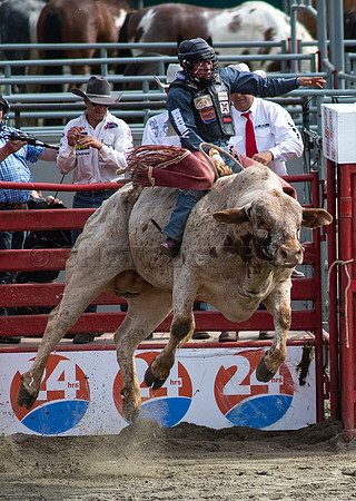 Cloverdale Rodeo-0193
