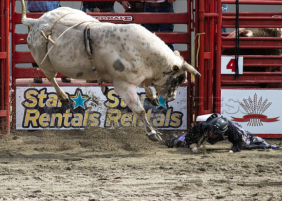 Cloverdale Rodeo-0241