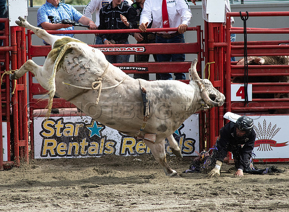 Cloverdale Rodeo-0243
