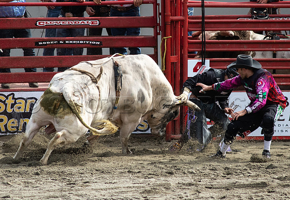 Cloverdale Rodeo-0247