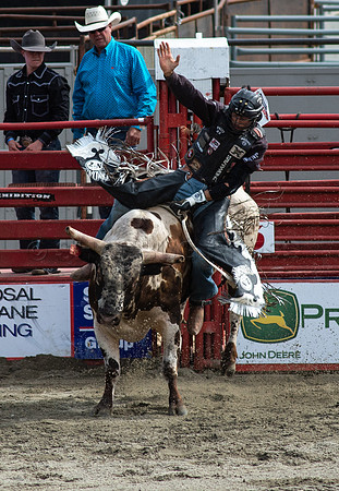 Cloverdale Rodeo-0310