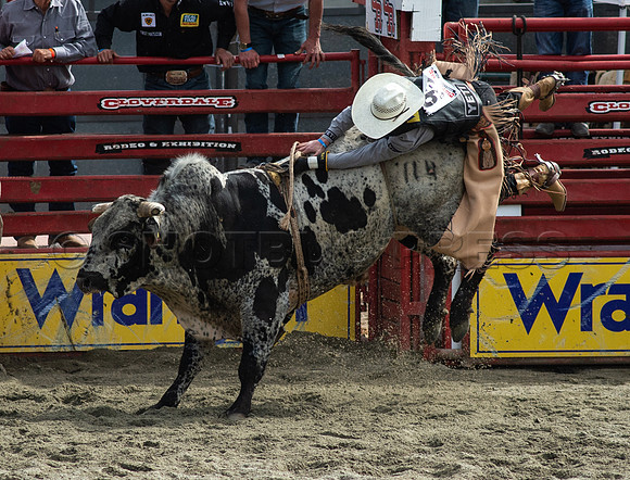 Cloverdale Rodeo-0373